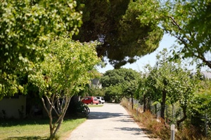 9. ΛΕΒΕΝΤΗ ΜΑΡΙΑ