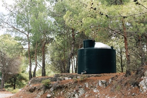 Δ1. ΑΠΟΚΕΝΤΡΩΜΕΝΗ ΔΙΟΙΚΗΣΗ ΑΙΓΑΙΟΥ, ΓΕΝΙΚΗ ΔΙΕΥΘΥΝΣΗ ΔΑΣΩΝ κ ΑΓΡΟΤΙΚΩΝ ΥΠΟΘΕΣΕΩΝ. ΔΙΕΥΘΥΝΣΗ ΔΑΣΩΝ ΛΕΣΒΟΥ