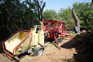 150. ΚΑΦΕΤΖΗΣ ΧΡΗΣΤΟΣ