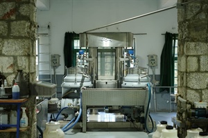 81. ΑΓΡΟΤΙΚΟΣ ΕΛΑΙΟΥΡΓΙΚΟΣ ΣΥΝΕΤΑΙΡΙΣΜΟΣ ΑΓΙΑΣΟΥ