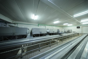 87. ΤΥΡΟΚΟΜΙΚΕΣ ΕΠΙΧΕΙΡΗΣΕΙΣ ΣΑΝΤΖΗΛΙΩΤΗ ΑΒΕΕ