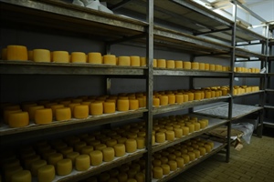 91. ΑΓΡΟΤΙΚΟΣ ΓΑΛΑΚΤΟΚΟΜΙΚΟΣ ΣΥΝΕΤΑΙΡΙΣΜΟΣ ΜΑΝΤΑΜΑΔΟΥ