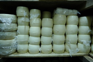 94. ΒΑΣΙΛΑ Χ ΚΑΙ ΣΙΑ ΕΕ