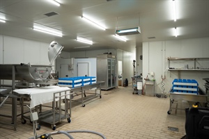 111. ΒΑΡΔΑΞΗΣ ΒΑΣΙΛΕΙΟΣ